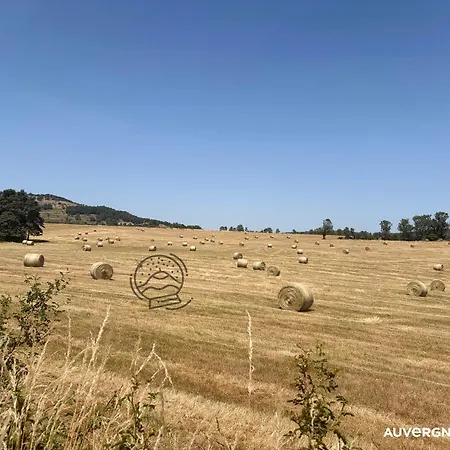 Le Chardonneret Du Sancy Montaigut-le-Blanc (Puy-de-Dome)